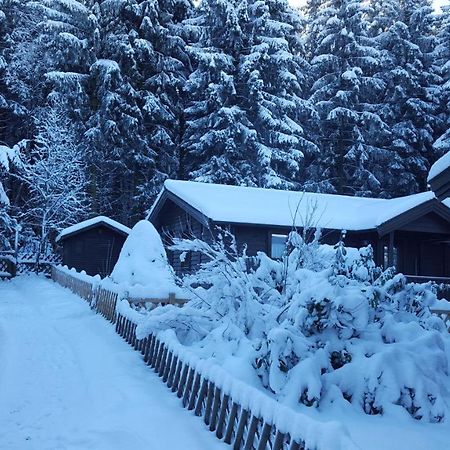 Waldsee-Ferienhaus-Mit-Kamin-W-Lan Clausthal-Zellerfeld Exteriér fotografie