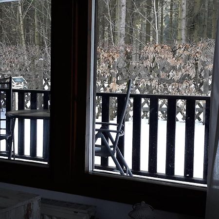 Waldsee-Ferienhaus-Mit-Kamin-W-Lan Clausthal-Zellerfeld Exteriér fotografie