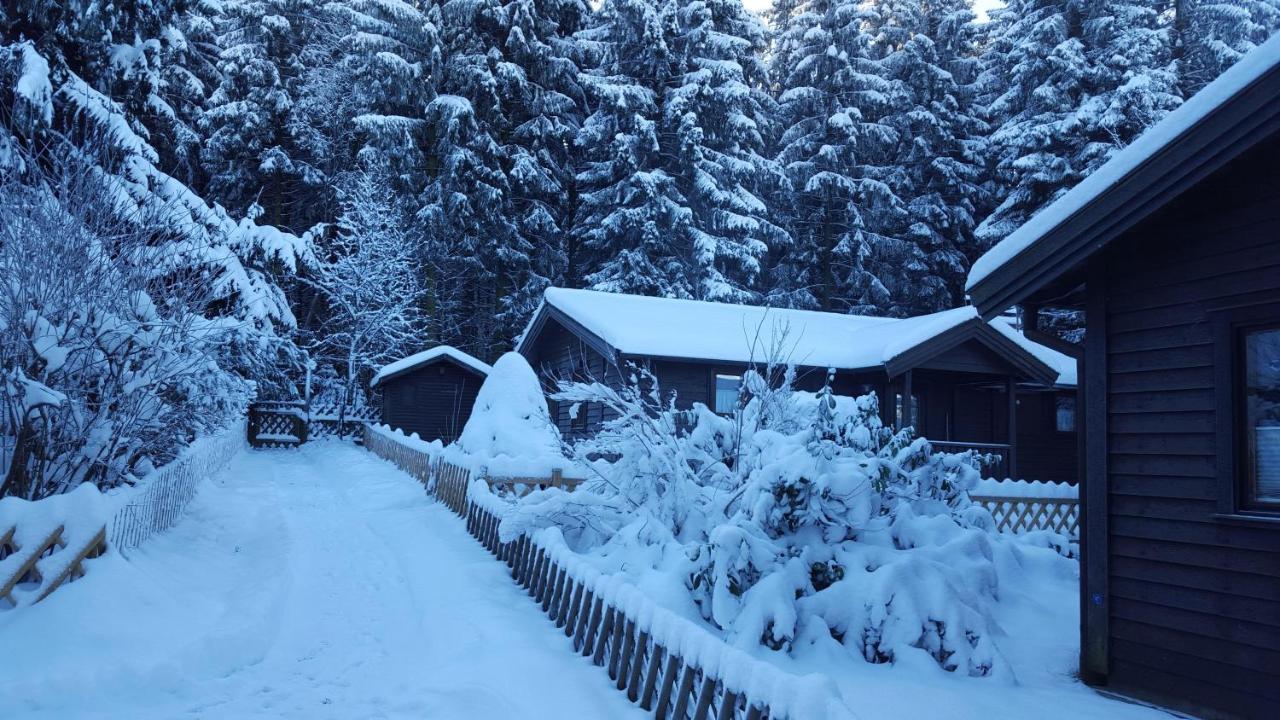 Waldsee-Ferienhaus-Mit-Kamin-W-Lan Clausthal-Zellerfeld Exteriér fotografie