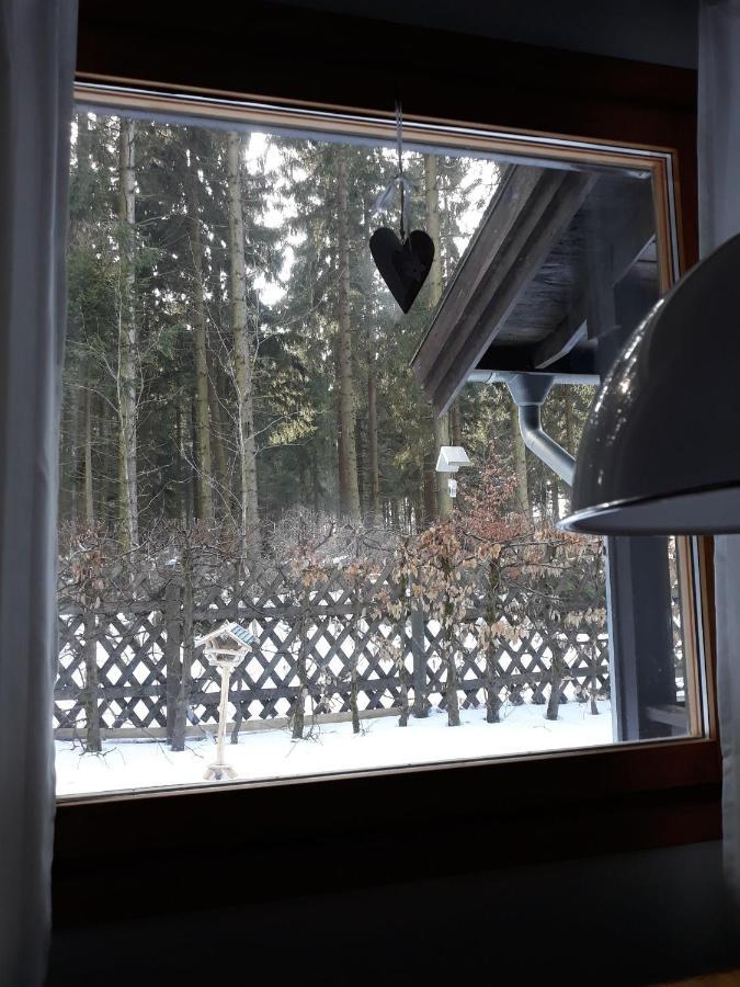 Waldsee-Ferienhaus-Mit-Kamin-W-Lan Clausthal-Zellerfeld Exteriér fotografie