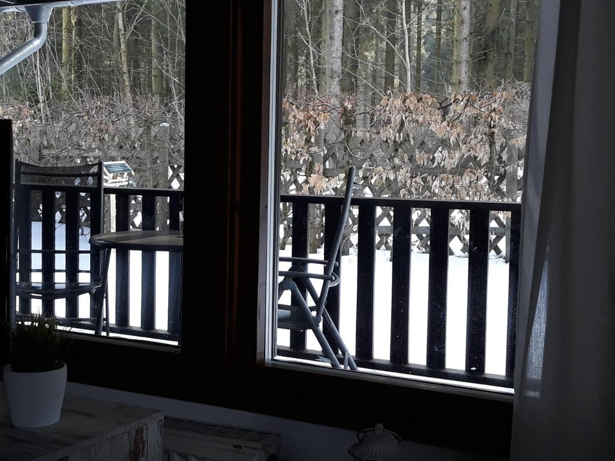 Waldsee-Ferienhaus-Mit-Kamin-W-Lan Clausthal-Zellerfeld Exteriér fotografie